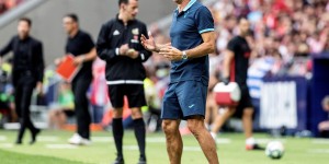 <?php the_title(); ?>