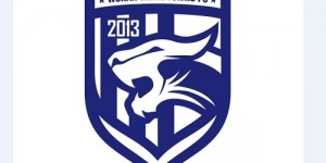 【龙八国际】李璇：三镇及原投资方和体育局达成初步约定 新赛季预算1.5亿-2亿