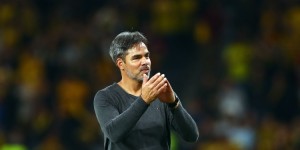 【龙八国际】天空体育：诺维奇冲超失败，主帅大卫-瓦格纳即将下课