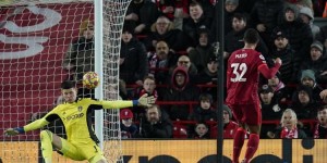 <?php the_title(); ?>