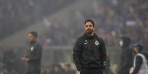 <?php the_title(); ?>