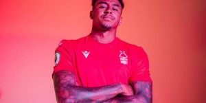 <?php the_title(); ?>