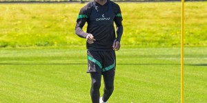 <?php the_title(); ?>