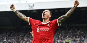 <?php the_title(); ?>