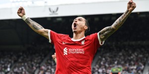 <?php the_title(); ?>