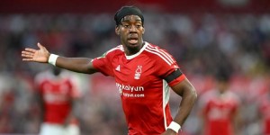 <?php the_title(); ?>