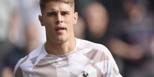 <?php the_title(); ?>