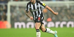 <?php the_title(); ?>