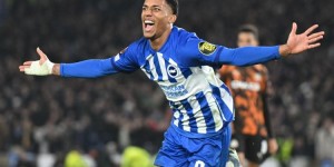 <?php the_title(); ?>