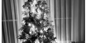 【龙八国际】萨拉赫发文：加沙遭受伤亡和破坏，我们要怀着沉重心情迎接圣诞