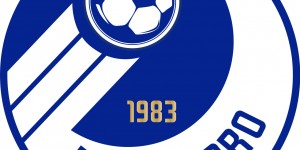 【龙八国际】大连人历史联赛战绩：3次升级，2次从中超降级