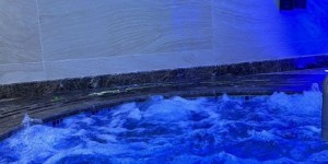 <?php the_title(); ?>