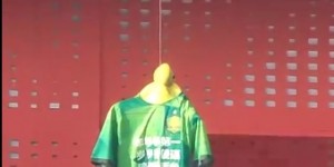 <?php the_title(); ?>