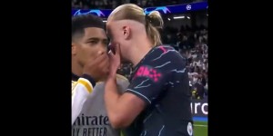 <?php the_title(); ?>