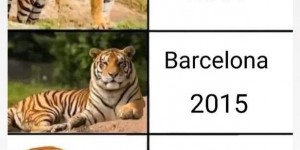 【龙八国际】看完都沉默了?巴萨实力变化：09年六冠王老虎→24年虎皮蛋糕卷