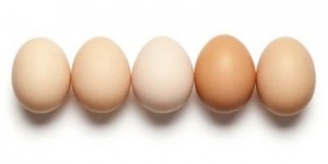 <?php the_title(); ?>