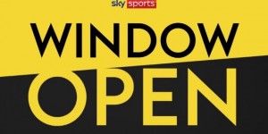 【龙八国际】?上树了！2024/25赛季英超夏窗今天开启，其它联赛7月1号开始