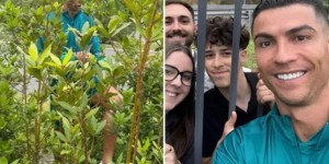 <?php the_title(); ?>