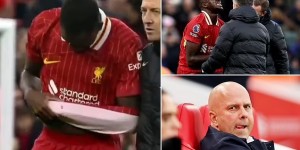 <?php the_title(); ?>