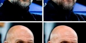 <?php the_title(); ?>