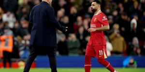 <?php the_title(); ?>