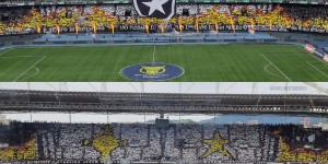 <?php the_title(); ?>