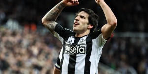 <?php the_title(); ?>