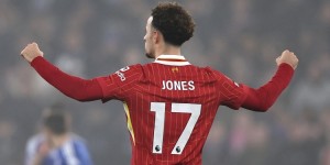 <?php the_title(); ?>