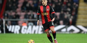 <?php the_title(); ?>