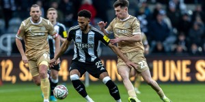 <?php the_title(); ?>