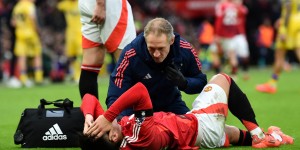 <?php the_title(); ?>