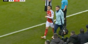 <?php the_title(); ?>