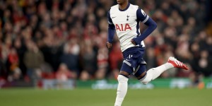 <?php the_title(); ?>