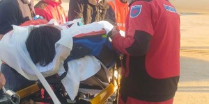 <?php the_title(); ?>