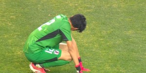 <?php the_title(); ?>