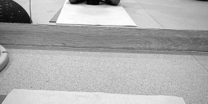 <?php the_title(); ?>