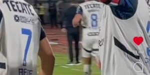 <?php the_title(); ?>