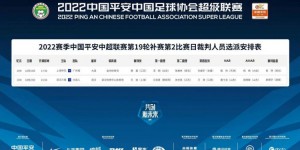 【龙八国际】中超19轮补赛裁判：王迪执法三镇战大连人，黄翼吹申花战广州城