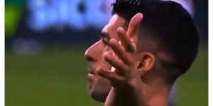 <?php the_title(); ?>