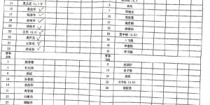 【龙八国际】上海申花U17A获得上海市青少年足球俱乐部联赛（男子U17组）冠军