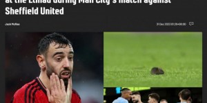 【龙八国际】太坏了！老鼠闯进曼城主场，球迷：B费你咋来了？