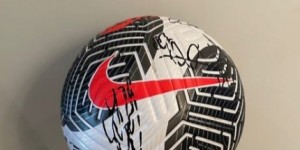 <?php the_title(); ?>