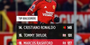 <?php the_title(); ?>