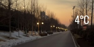 【龙八国际】留队还是外租？德尔加多返回泰山俱乐部基地