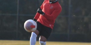 <?php the_title(); ?>