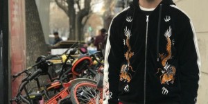 <?php the_title(); ?>