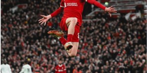 <?php the_title(); ?>