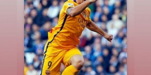 <?php the_title(); ?>