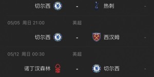 【龙八国际】记者：恩佐将接受手术治疗腹股沟疝气，预计伤缺不到一个月的时间