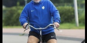 <?php the_title(); ?>